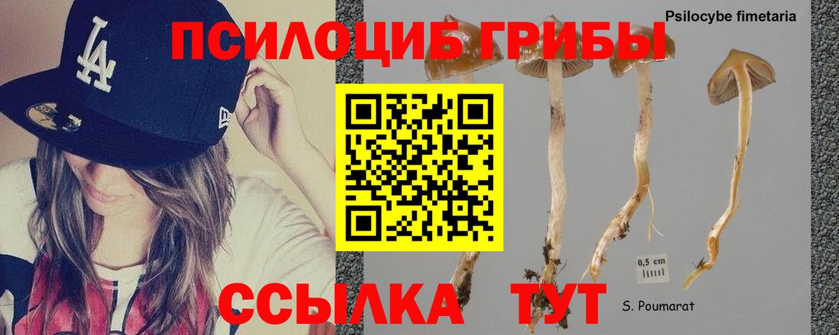 Галлюциногенные грибы мухоморы  Псилоцибиновые грибы мухоморы  Вход с VPN  где продают наркотики  Чехов 
